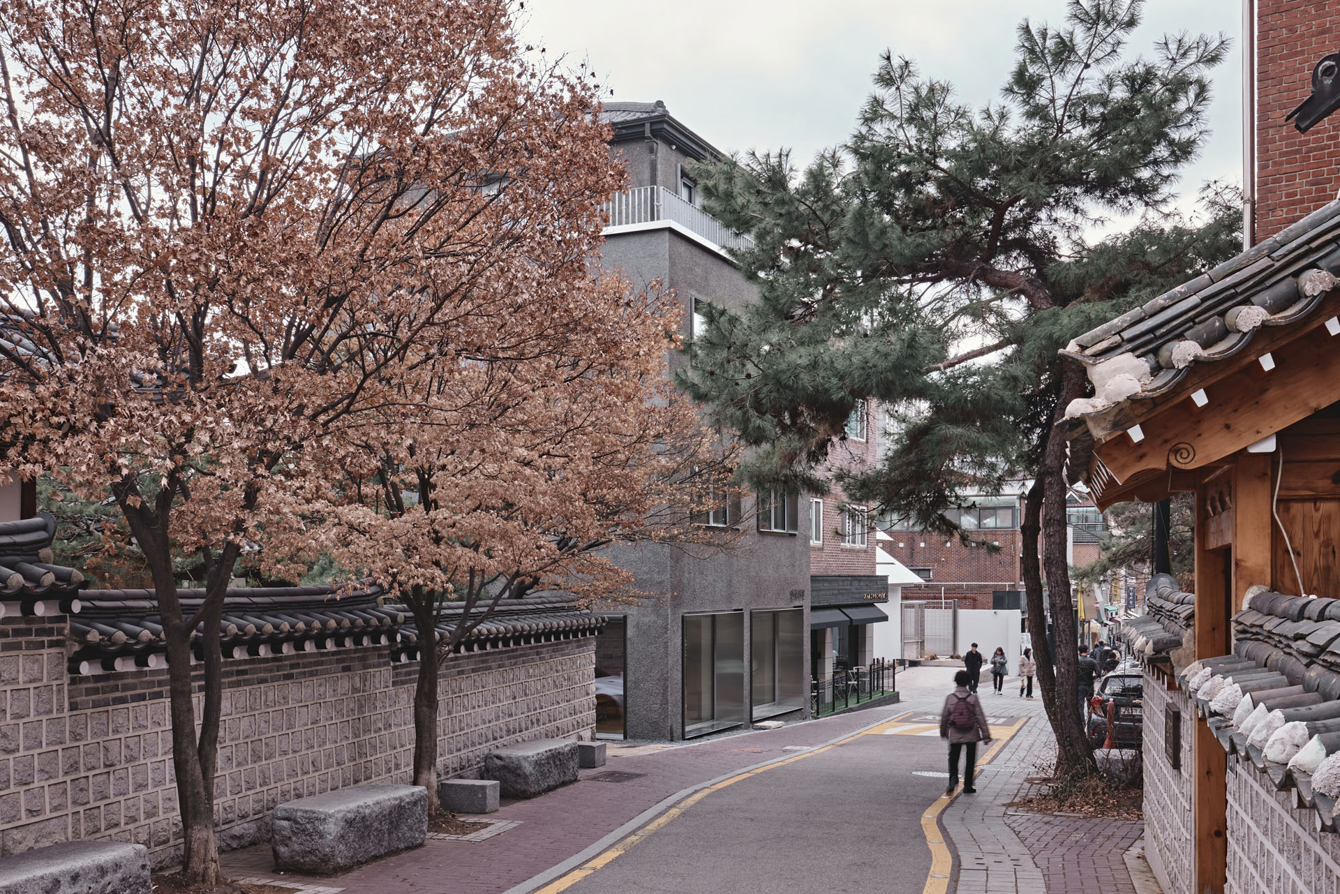 윤보선길 골목. 돌담과 단풍 든 나무 사이로 안국의원이 보인다